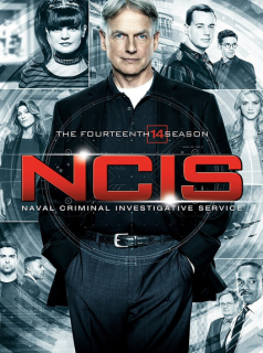 NCIS : Enquêtes spéciales saison 14